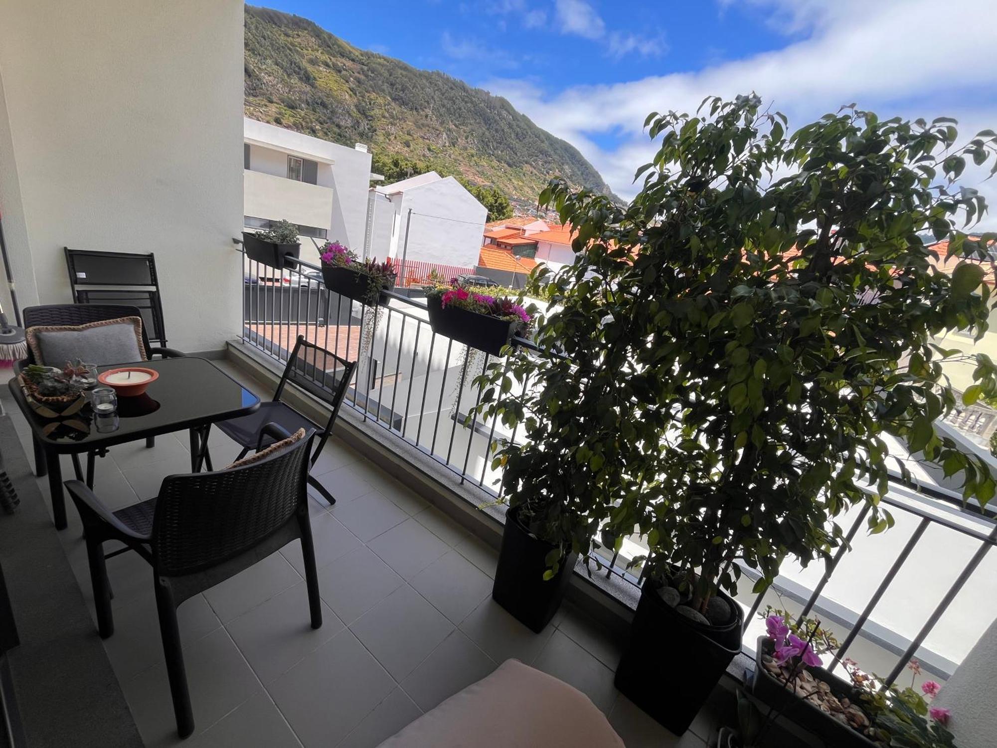 Machico Near The Machico (Madeira)